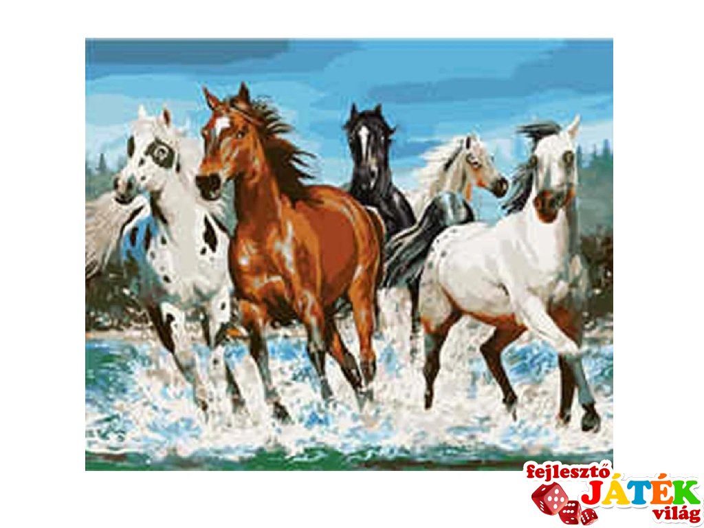 Festés számok szerint, Vágtázó lovak 40x50 cm, kreatív szett (10-99 év)