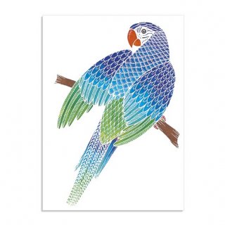 Aquarell junior festőkészlet, Papagájok (SentoSphére, kreatív festőkészlet, 7-99 év) 