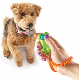 Brightkins csettintő gomb kutyáknak Csont, kutya oktató játék (klikkelő)