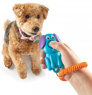 Brightkins csettintő gomb kutyáknak Kutyi, kutya oktató játék (klikkelő)