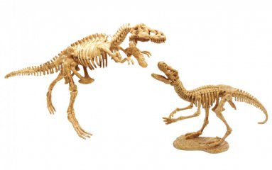 Dínó felfedező készlet, T-Rex és Velociraptor, Buki tudományos játék (8-14 év)