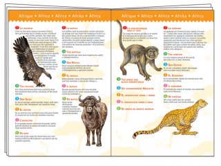 Dinoszauruszok puzzle (Djeco, 7424, 100 db-os részletgazdag kirakó, 6-12 év)