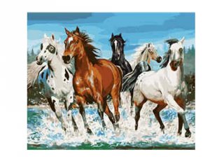 Festés számok szerint, Vágtázó lovak 40x50 cm, kreatív szett (10-99 év)