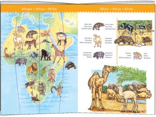 Föld állatai puzzle (Djeco, 7420, 100 db-os kirakó, 6-12 év)