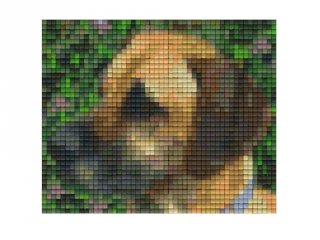 Pixelhobby képkészlet, barna kutya (801186, 1db alaplap + színek, 7-99 év)