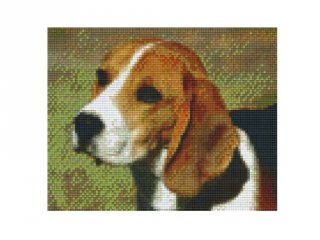 Pixelhobby képkészlet, beagle (804042, 4db alaplap + színek, 7-99 év)