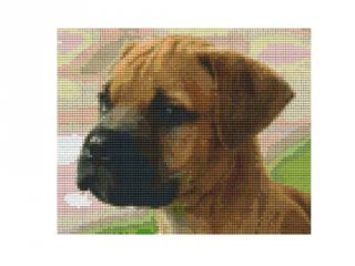 Pixelhobby képkészlet, bull mastiff (804195, 4db alaplap + színek, 7-99 év)