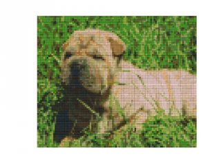 Pixelhobby képkészlet, bulldog (804269, 4db alaplap + színek, 7-99 év)