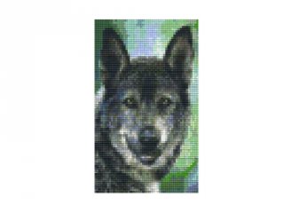 Pixelhobby képkészlet, farkaskutya (802096, 2db alaplap + színek, 7-99 év)