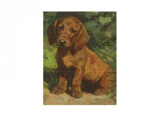 Pixelhobby képkészlet, kölyök kutyus (804071, 4db alaplap + színek, 7-99 év)