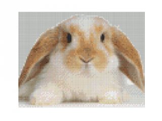 Pixelhobby képkészlet, nyuszi (804143, 4db alaplap + színek, 7-99 év)