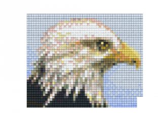 Pixelhobby képkészlet, sas (801306, 1db alaplap + színek, 7-99 év)
