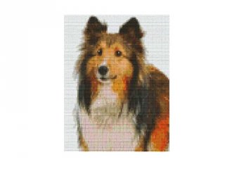 Pixelhobby képkészlet, skótjuhász (804266, 4db alaplap + színek, 7-99 év)