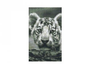 Pixelhobby képkészlet, tigris 2 (802108, 2db alaplap + színek, 7-99 év)