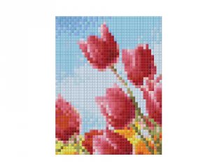 Pixelhobby képkészlet, tulipánok (801332, 1db alaplap + színek, 7-99 év)