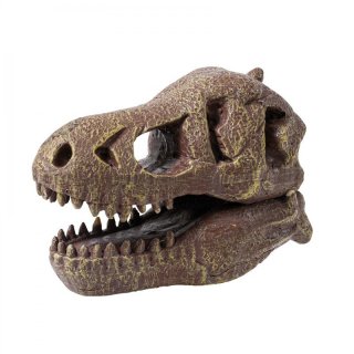 Tyrannosaurus koponya felfedező készlet, Buki tudományos kísérletező játék (BUKI2130, 8-14 év)
