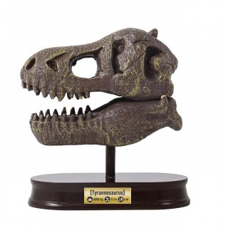 Tyrannosaurus koponya felfedező készlet, Buki tudományos kísérletező játék (BUKI2130, 8-14 év)