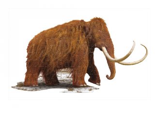 Wow Puzzle Gyapjas mamut, 100 db-os formakirakó